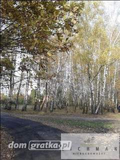 Działka leśna na sprzedaż, 9761 m2, Łódź