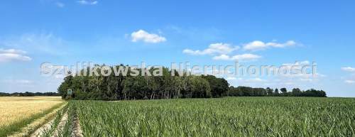 Działka leśna na sprzedaż, 9700 m2, Ziębice