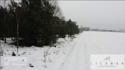 Działka rolna na sprzedaż, 11400 m2, Zarzęcin