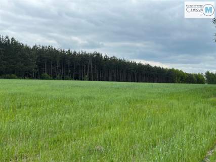 2,5 ha działki rolnej w okazjonalnej cenie