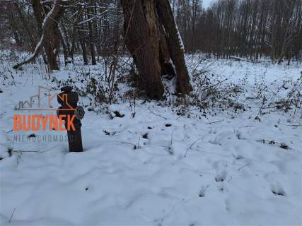 Działka rolna - Przystawy