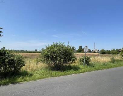 Działka, Sulisławice Kalisz sprzedaż 1633m2
