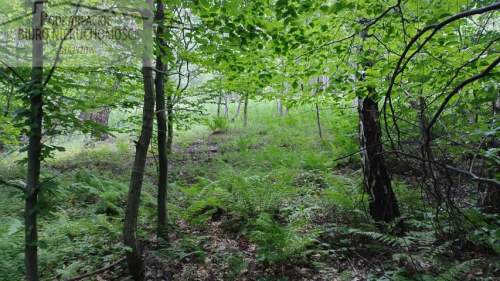 Działka rolna na sprzedaż, 10300 m2, Żarnowa