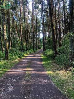 Uzbrojona działka 3600m2 budowlana pod lasem Rusin