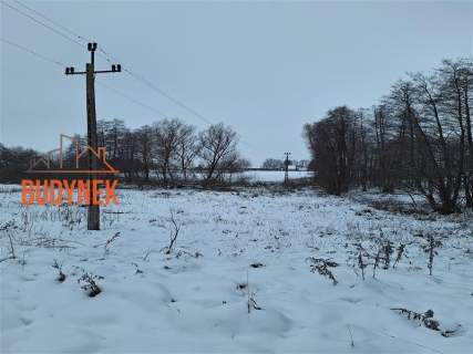 Działka rolna - Przystawy