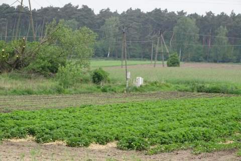 Działki budowlane w Piotrów