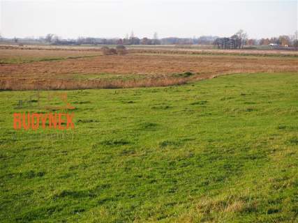 Działka rolna - Krupy