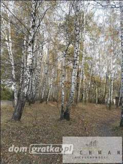 Działka leśna na sprzedaż, 9761 m2, Łódź