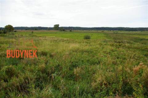 Działka budowlana - Pęciszewko