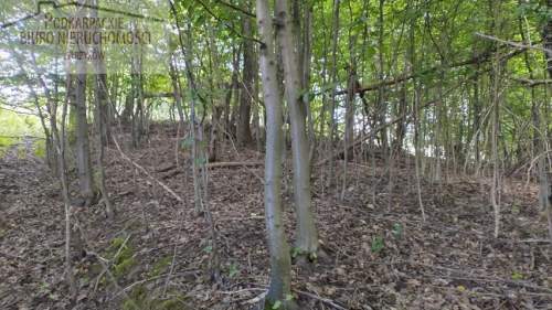 Działka leśna na sprzedaż, 2600 m2, Żyznów