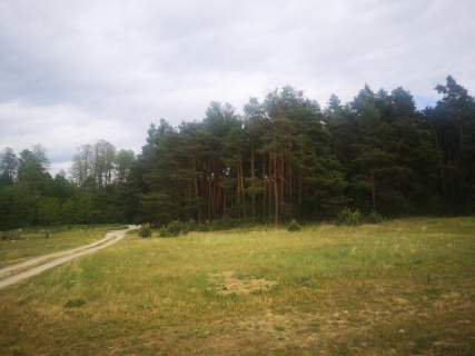Działka budowlana 4281m2, Płazów - Roztocze