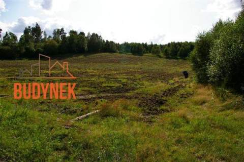 Działka rolna - Lejkowo