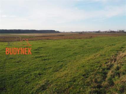 Działka rolna - Krupy