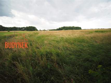 Działka rolna - Rusinowo