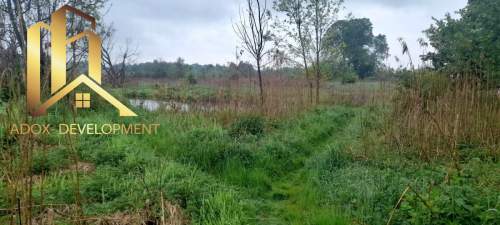 1,5 ha z dostępem do rzeki 26 km od centrum Wa-wy