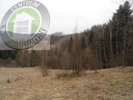 Działka budowlana na sprzedaż, 10000 m2, Ochotnica Dolna
