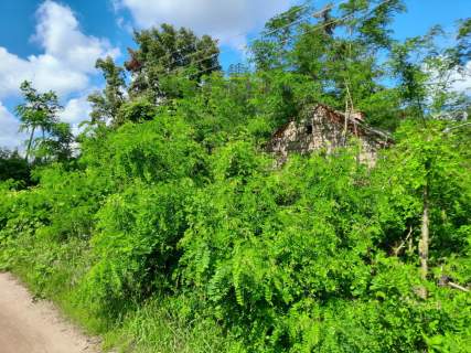 Działka budowlana na sprzedaż, 5000 m2, Kraszew Wielki