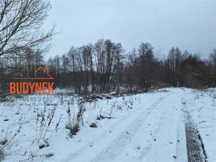 Działka rolna - Przystawy