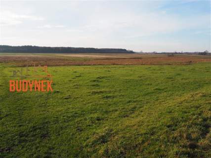 Działka rolna - Krupy