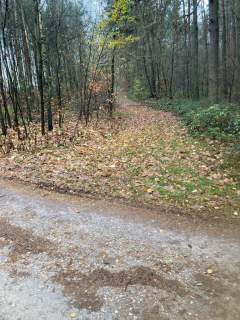 Działka leśna na sprzedaż, 3300 m2, Ignatów