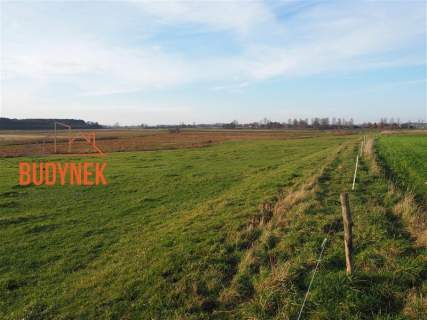 Działka rolna - Krupy