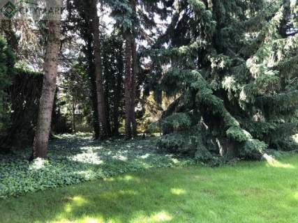 Piękna rezydencja Michałowice Osiedle 2450m2 ogród 