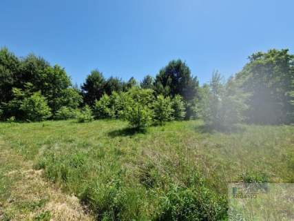 Działka rolna na sprzedaż, 12746 m2, Kamieńsk