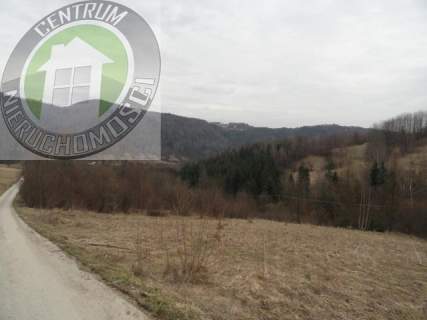 Działka budowlana na sprzedaż, 10000 m2, Ochotnica Dolna