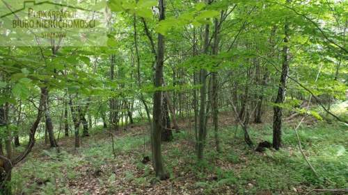Działka rolna na sprzedaż, 10300 m2, Żarnowa