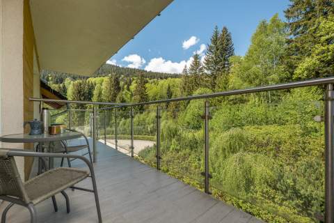 Czarna Góra Resort- studio z miejscem postojowym