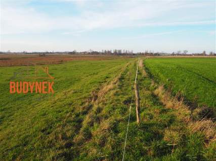 Działka rolna - Krupy