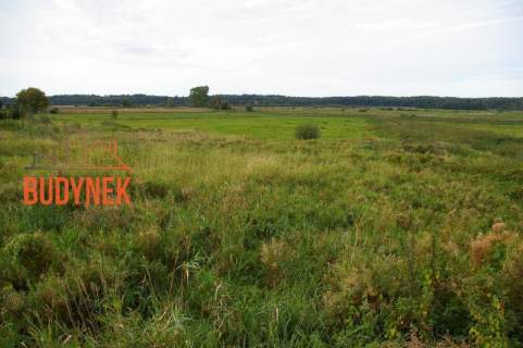 Działka budowlana - Pęciszewko