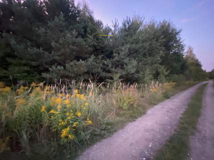 Działka na sprzedaż, 1359 m2, Borowa