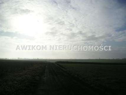 20 km od Skierniewic dla lubiiących przestrzeń