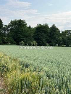 Działka budowlana w Borkowicach, blisko Obornik Ś