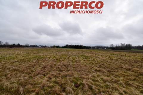 Działka, pow. 21 600 m2, Grzymałków, gm. Mniów