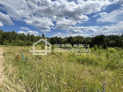 Piękna działka przy lesie Pępowo 5000m2
