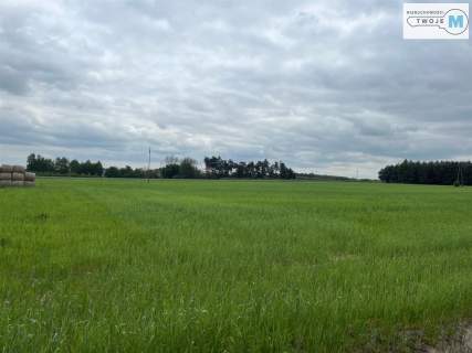 2,5 ha działki rolnej w okazjonalnej cenie