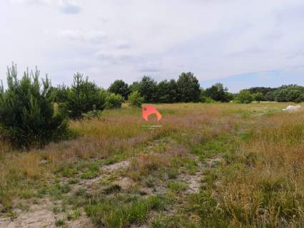 DZIAŁKA 1551m2 ZAMOŚĆ W PIĘKNEJ OKOLICY