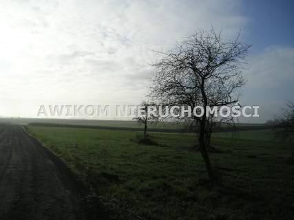 20 km od Skierniewic dla lubiiących przestrzeń