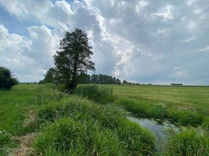 Działki rolne z lasem i łąką, Jeleniec