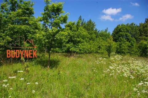 Działka siedliskowa - Jeżyce