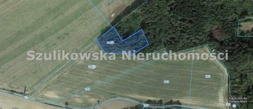 Działka leśna na sprzedaż, 9700 m2, Ziębice