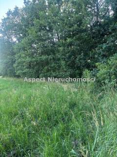 Cicha działa w Ochabach/Skoczów