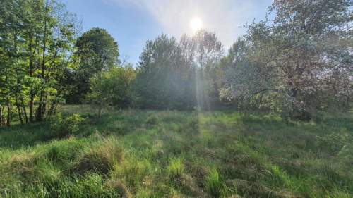 dwie do wyboru, warunki zabudowy, rzeka