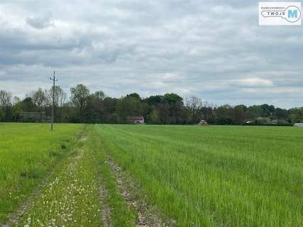 2,5 ha działki rolnej w okazjonalnej cenie