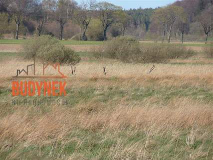 Działka rolna - Karsino