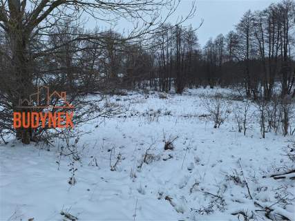 Działka rolna - Przystawy
