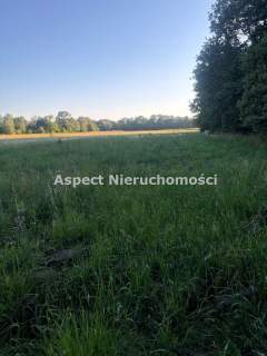 Cicha działa w Ochabach/Skoczów