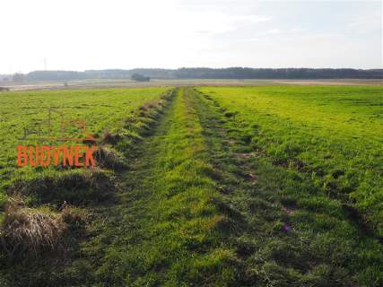 Działka rolna - Krupy
